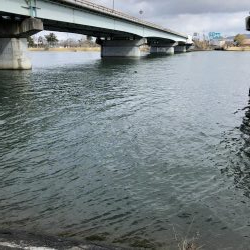 春を感じそうな陸っぱり