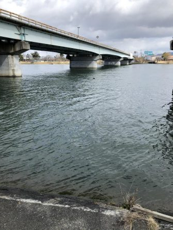 春を感じそうな陸っぱり