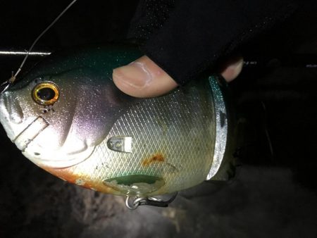 ビッグベイトでやる気スイッチ?