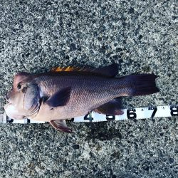 カンダイゲーム