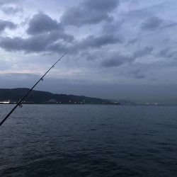 夕まづめメバリング