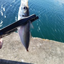 デイ~ナイトアジング。