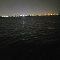 タチウオ釣り　～釣ってる人居ないんだが～