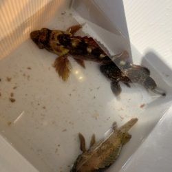 昼間はぽかぽか