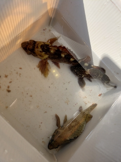 昼間はぽかぽか