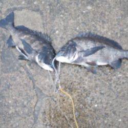 集中しないと！