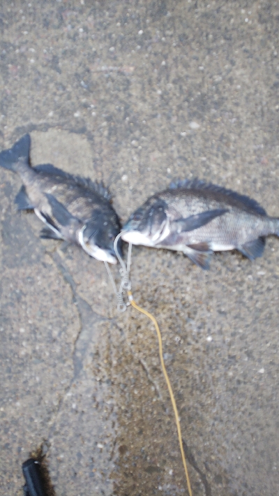 集中しないと！