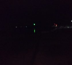 ワアッ❗️鯵かよ❗️