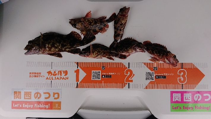 久しぶりの淡路島釣行