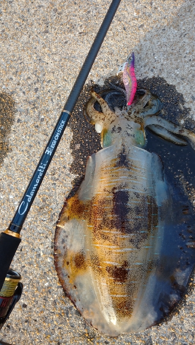 仕事で出張エキング