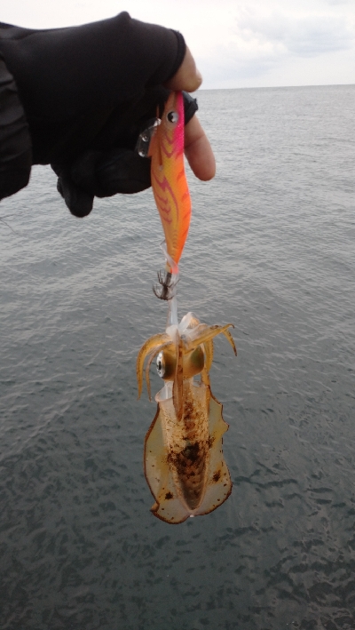 仕事終わりに爆風エキング