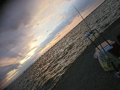 狙い撃ち！強風の中カレイGET！！