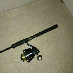 ナイトアジング