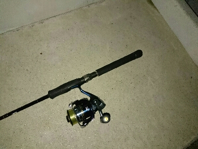 ナイトアジング