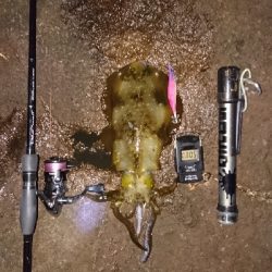 元気よし!水温よし!