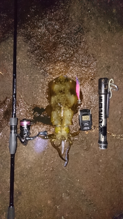 元気よし！水温よし！