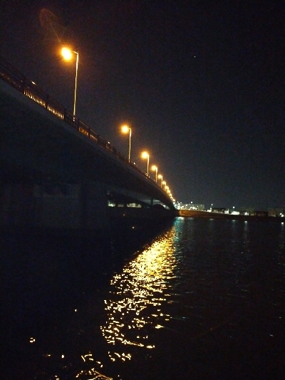 今年初フィッシュ