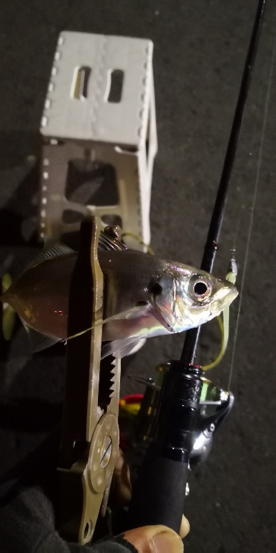 アジング練習 104