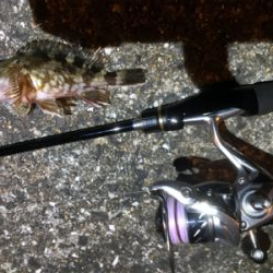 newロッドテスト釣行