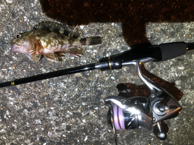 newロッドテスト釣行