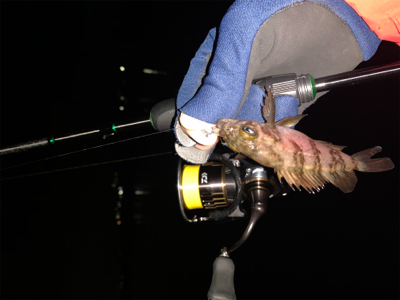 ポツポツ　ポロリ