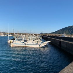 アジを求めて…