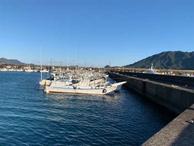 アジを求めて…