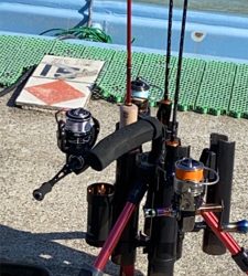 プールフィシング