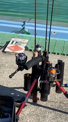 プールフィシング