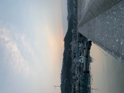 メバル は釣れず