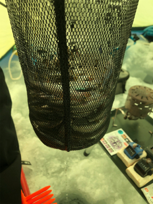 氷上わかさぎ初戦