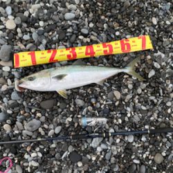 朝マズメの30分で