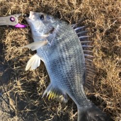 グッドモーニング