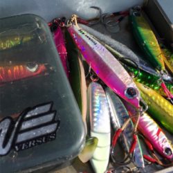 仙台湾スーパーライトジギング