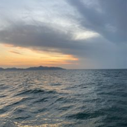 ライトショアジギング