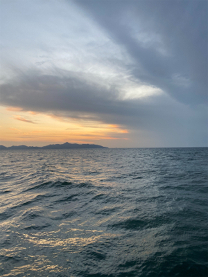 ライトショアジギング