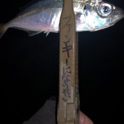 アジング練習 107