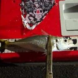 アジング練習 108