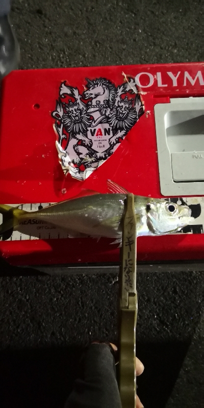 アジング練習 108