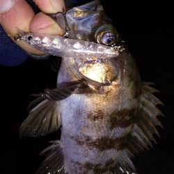 ナイトメバリング