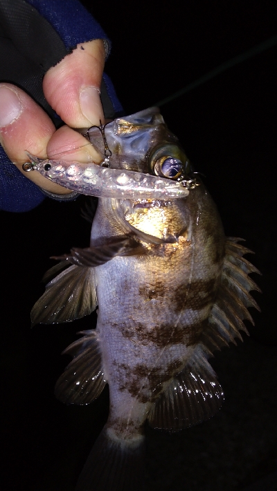 ナイトメバリング