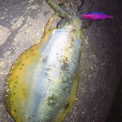 まだまだ出ましたキロアップ!