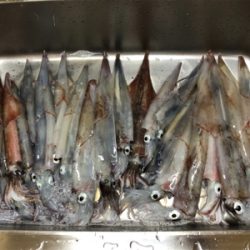 雨、雪が降ろうが、ヤリが降ろうが(^^)