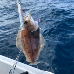 今年初のマイボート釣行