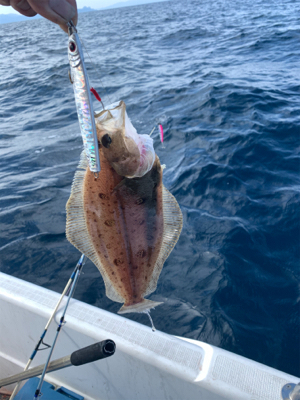 今年初のマイボート釣行