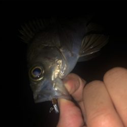 タフコンディション