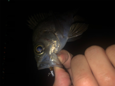 タフコンディション