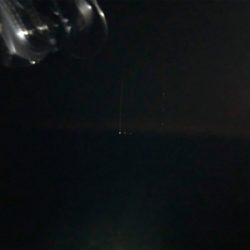 アジ不在でも安定ガシラ