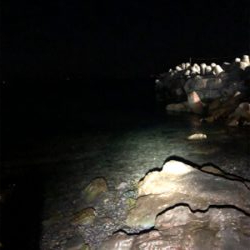 初ロッドと初場所