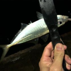 ライトゲーム♪